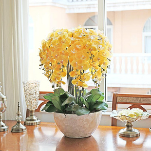 绿植盆栽花艺室内客厅干花摆设装 和家手感仿真兰套装 饰假花卉