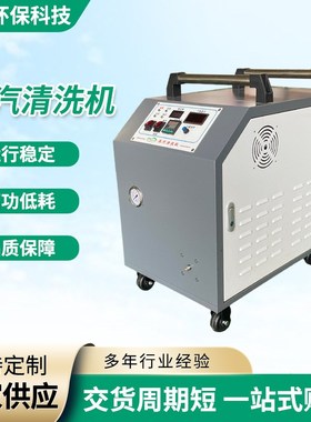 蒸汽清洗设备 380BV纯电蒸汽设备 洗车机