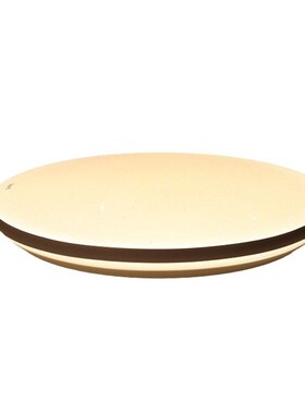 吸顶灯具闪闪满天星卧室圆形灯米家APNP智控调光家用WS