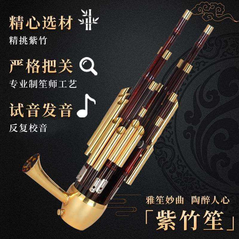 宏艺凤鸣14簧17簧21簧初学扩音紫竹圆笙方笙厂家