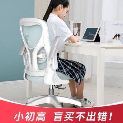 久坐书桌舒适学习椅人体工学椅座椅办公椅儿童子电脑椅家用中学生