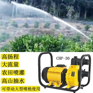 晨泰自吸泵农用灌溉抽水泵高压高扬程排污泵喷灌增压泵泥浆泵电泵
