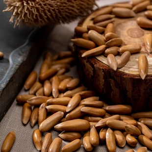 2025年新货巴西松子手剥松子 500克1400大颗粒 罐装