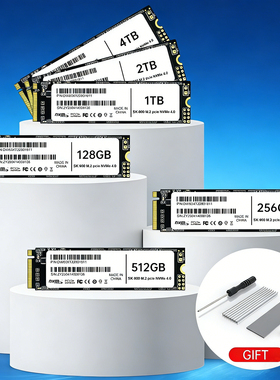 NVME M.2固态硬盘SSD 4TB硬盘盒笔记本台式电脑2280PCIE4.0