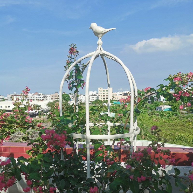 花架爬藤架月季蔷薇阳台架子花盆植物藤架花园花柱园艺攀爬花支架