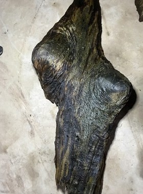 金丝楠木 阴沉金丝楠木 金丝楠老料 乌木 佛珠手串摆件水波龙胆