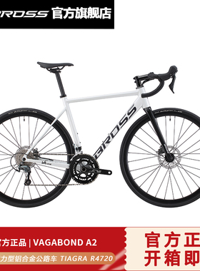 BROSS长途耐力公路车Vagabond A2 TIAGRA R4720 油碟 2*10速