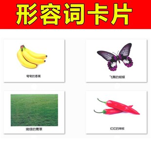 自闭症儿童训练玩具形容词认知卡片语言发育迟缓康复干预个训教具