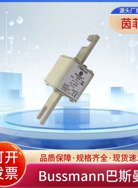 熔断器170M3165 170M3166 170M3167 170M3168 17P0M3169 170M3170