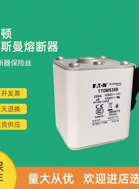 全新快速熔断d器保险170M5362 170M5363 170M5364 170M5365