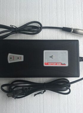12HP充电器4老年电动代步车智能B1124V原装进口电动轮椅鸿柏A