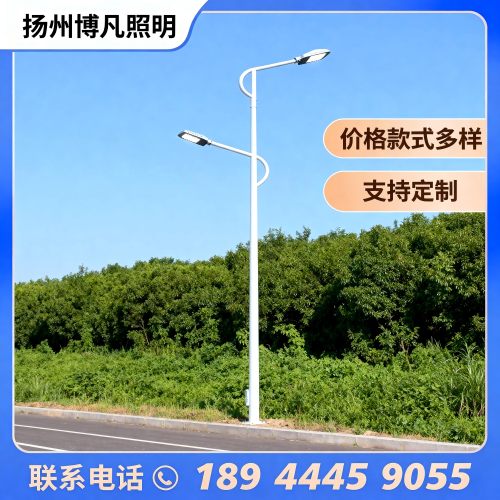 博昱 10 米双臂路灯 户外防水高亮度 等臂双挑直杆 热镀锌耐腐蚀