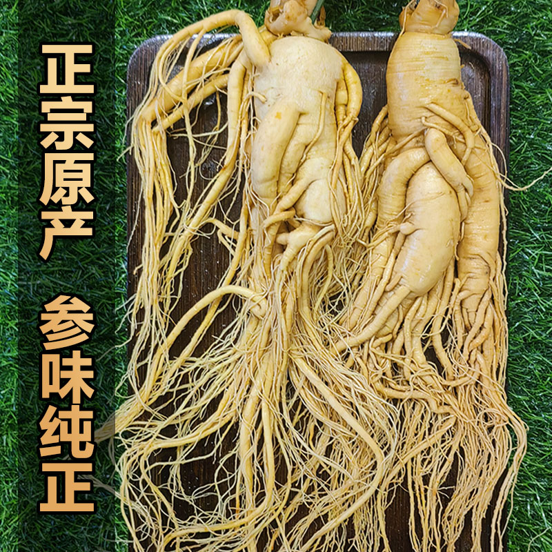 高品质长白山人参鲜参泡酒煲汤东北特产批发新鲜人参农直销产滋补