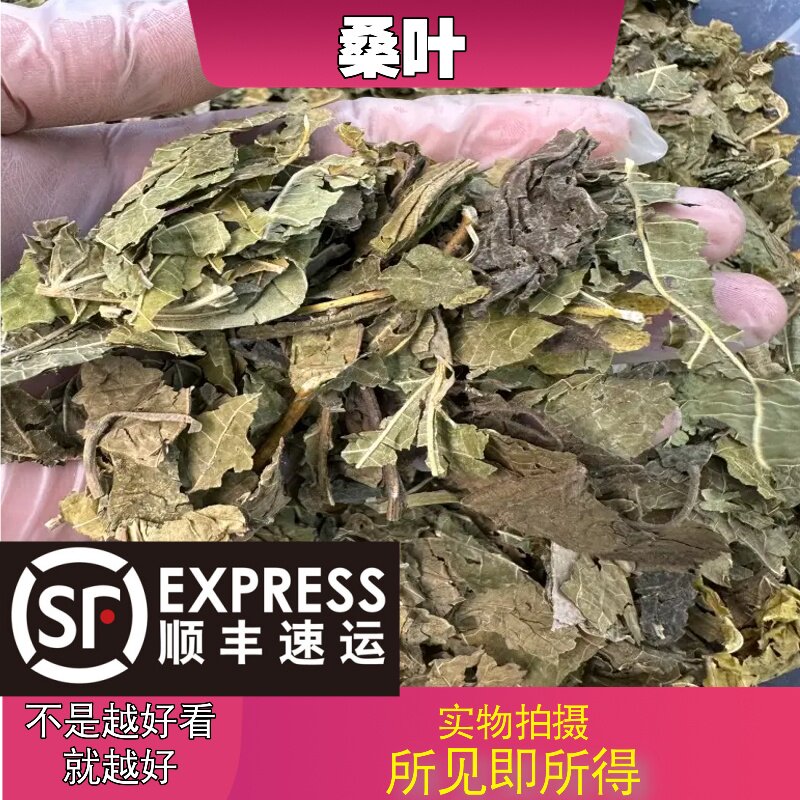 桑叶中药材店铺中草药大全别名：家桑、荆桑、桑椹树、黄桑、