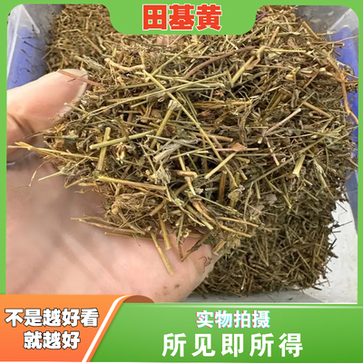 田基黄中药材店铺中草药大全