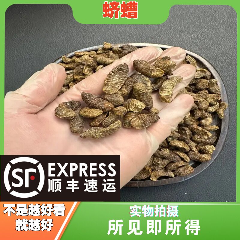 蛴螬中药材店铺中草药大全别名：粪虫 地蚕 核桃虫 应条 乳齐