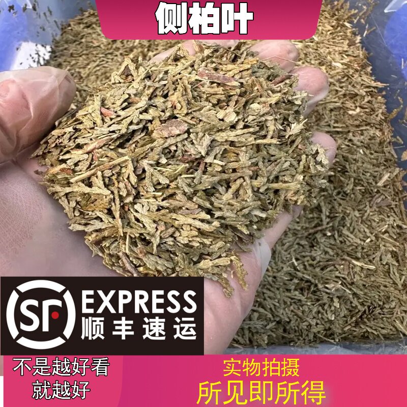 侧柏叶中药材店铺中草药大全别名： 扁柏、香柏、柏树、柏子树