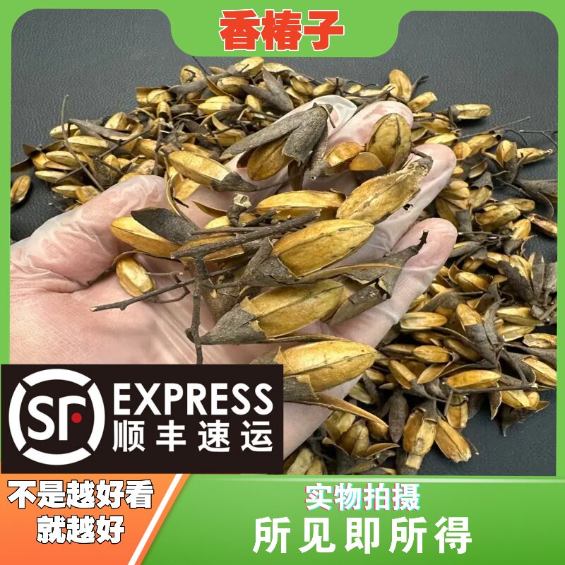 香椿子中药材店铺中草药大全别名：椿树子、香椿铃、香铃子