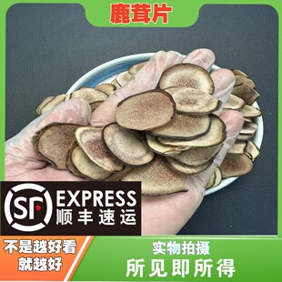 青毛茸 毛茸 鹿茸片中药材店铺中草药大全别名：血鹿茸 黄毛茸