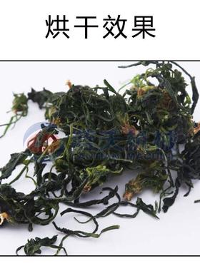 芥菜干烘干 空气能水LT-JCJ芥菜盖 菜脱水热泵烘干房自机动芥菜烘