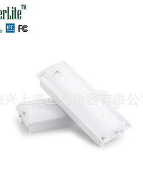 20SMD长方形3W壁挂嵌入式照明应急吸顶灯