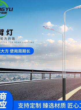 10米led双臂路灯户外杆道路灯具双挑灯市电市政路灯一体杆灯头