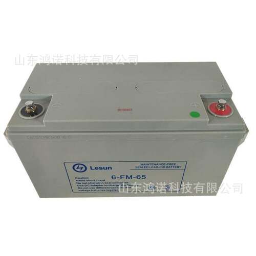 Lesun蓄电池6-FM-4012V40AH计算机机房服务器应急储能配电