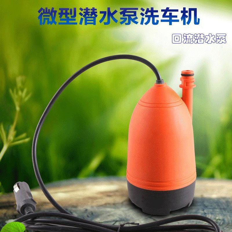 12V车载洗车机电动洗车泵便携式洗车神器220V家用刷车水泵垒德株