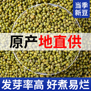 绿豆五谷杂粮新货小绿豆粥汤农家自产可发芽豆芽熬粥原料绿豆汤