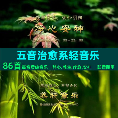 五音纯音乐U盘MP3音频五音疗愈纯音乐静心养生轻音乐优盘