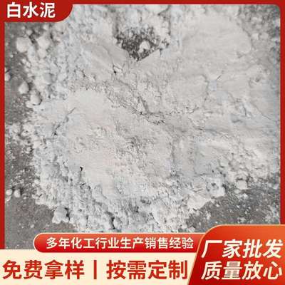 现货白水泥 建筑外墙快干白色硅酸盐水泥砌墙补缝 填缝白水泥