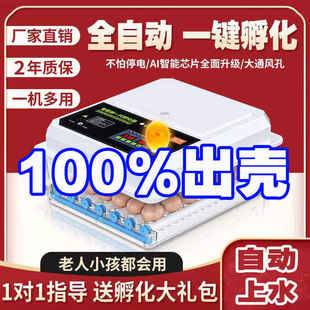 孵蛋器孵化器小型家用孵化机全自动小鸡智能孵化箱儿童芦丁鸡宠物