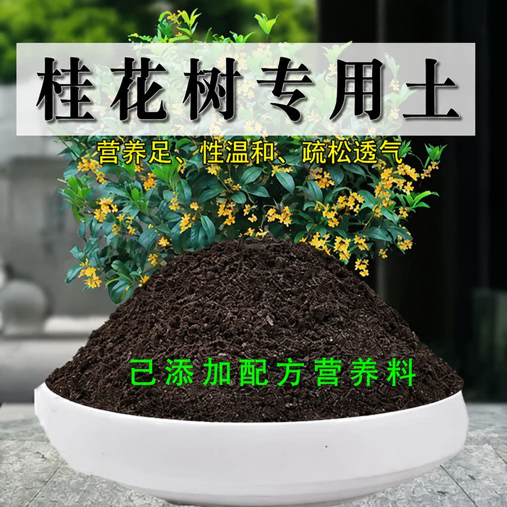 桂花树专用土桂花树专用营养土盆栽绿植土养花土壤种植土有机肥料图片