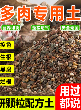 多肉专用颗粒土营养土泥炭土纯颗粒多肉肉透气疏松土壤种植土花土