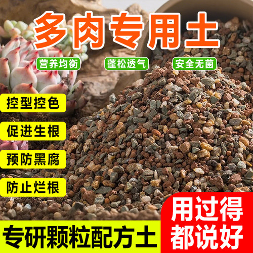 多肉专用颗粒土营养土