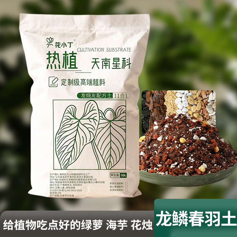 龙鳞春羽专用营养土天南科星植物土龟背竹秋海棠蔓绿绒热植颗粒土图片