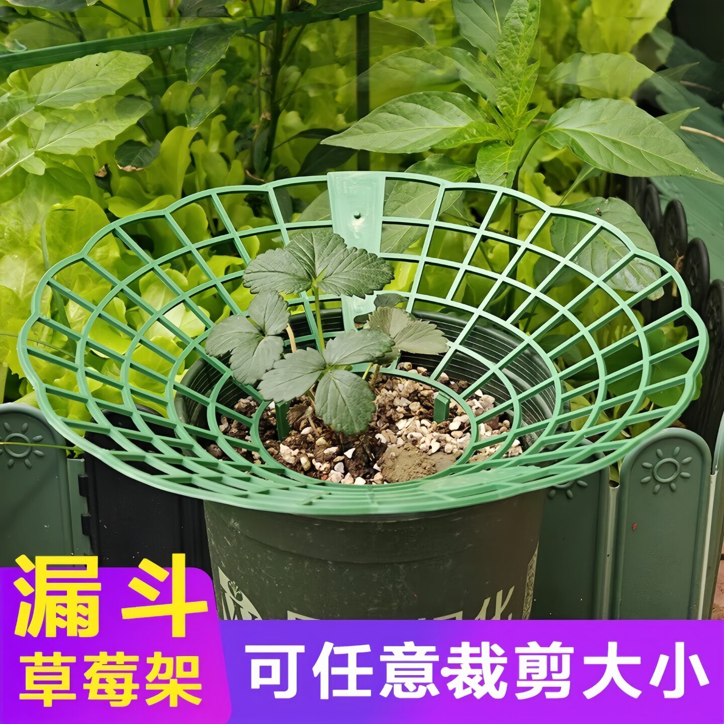 草莓托盘防腐烂支撑架