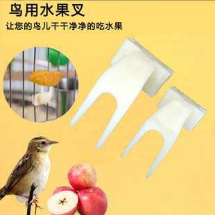 鹦鹉鸟用水果叉塑料叉鸟笼配件牡丹虎皮不锈钢喂食器叉子用品大全