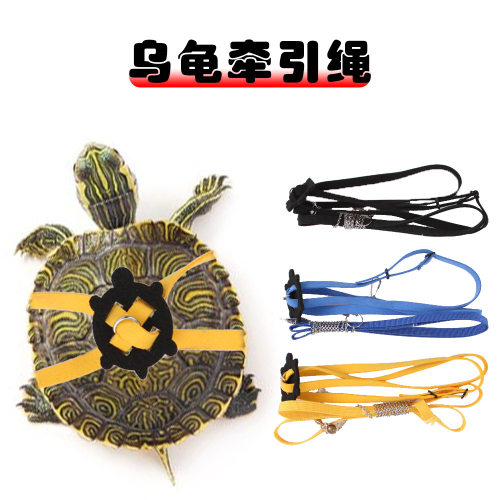 可调节溜龟绳乌龟牵引绳训练绳