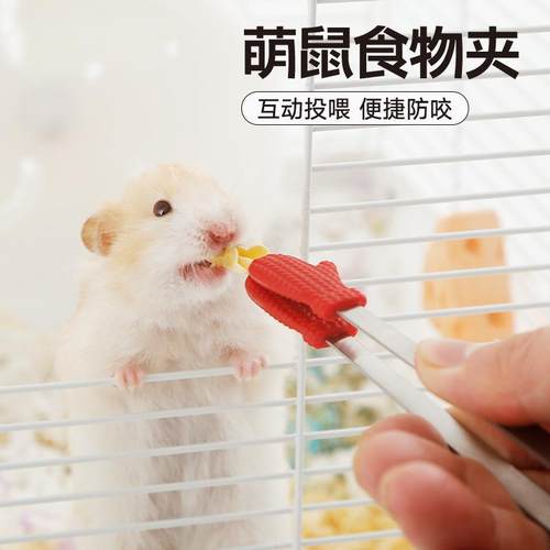 仓鼠喂食夹子零食夹金丝熊互动