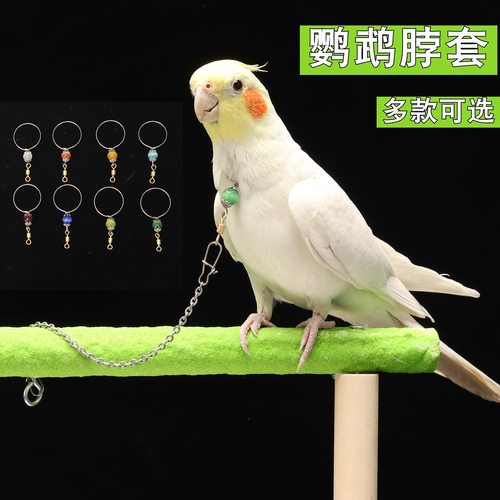 鹦鹉脖套遛鸟训练脖圈小太阳链子