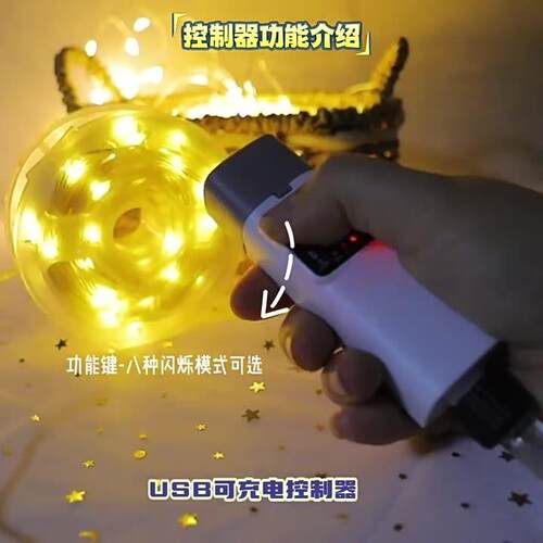 跨境SOY纽扣款可线充铜灯串鲜花围装饰灯电led铜丝礼物氛灯圣诞装