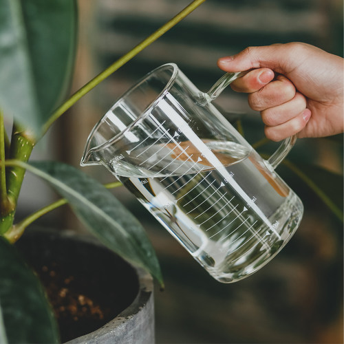 高硼硅耐热家庭园艺透明玻璃洒水壶浇花家用1L带刻度计量杯带手柄