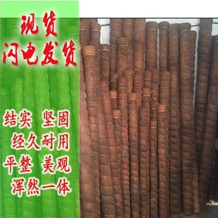 大叶绿萝柱椰棕棒绿萝攀爬柱棕棒绿萝柱绿萝缠绕柱棕榈皮绿萝桩