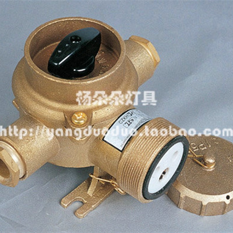船用铜质带开关插座CZKH201-1/CZKH211-1/-2/20L1-3/-4/-5 10A/16