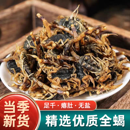 全蝎子干全蝎中药材正品500g克清水整条全虫干全蝎粉水蛭蜈蚣泡酒