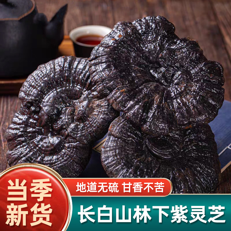 长白山野生灵芝中药材正品500g克整枝紫灵芝片灵芝孢子粉煲汤泡酒