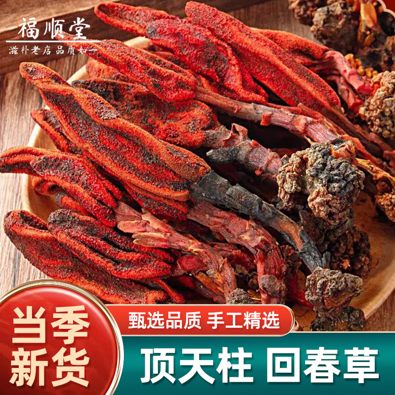 云南回春草中药材250g500g新货正品顶天柱不老草泡水泡酒男性滋补