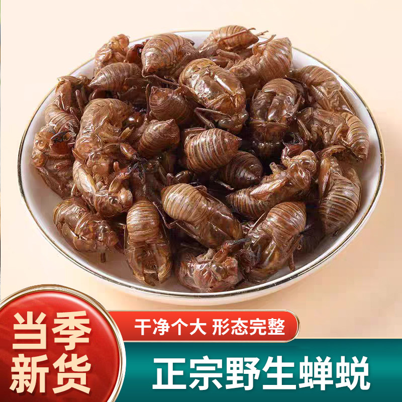 野生蝉蜕中药材正品500g蝉蜕壳蝉壳蝉衣蝉皮蝉退虫退知了壳皮金蝉