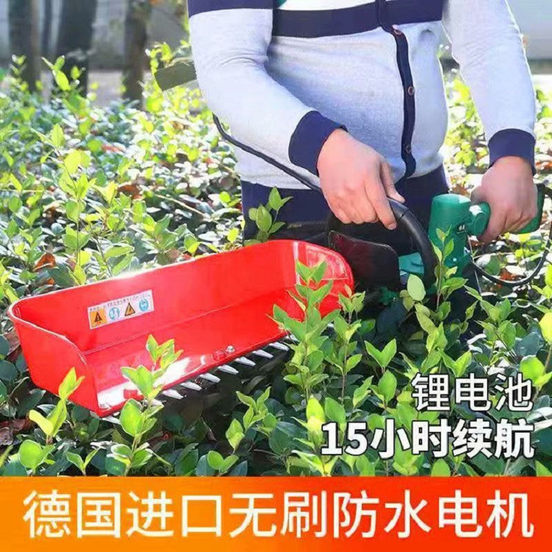 厂家 锂电池采茶机 轻便型大料斗收茶机 小型电动款一体采茶机